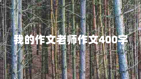 我的作文老师作文400字