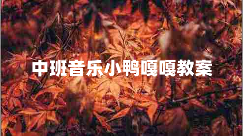 中班音乐小鸭嘎嘎教案