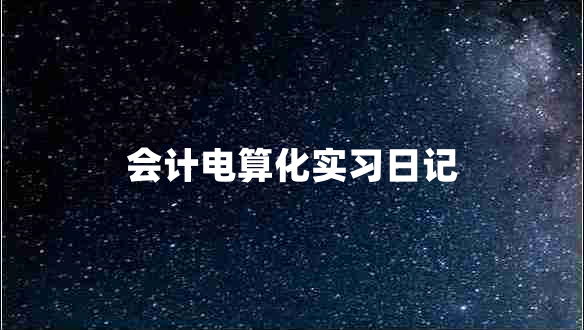 会计电算化实习日记