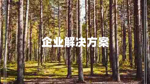 企业解决方案