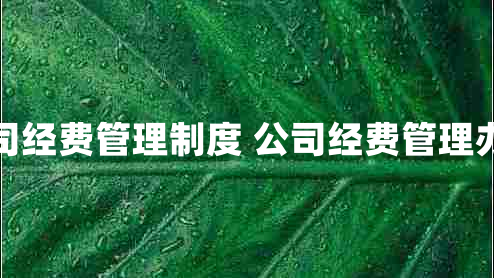 公司经费管理制度 公司经费管理办法