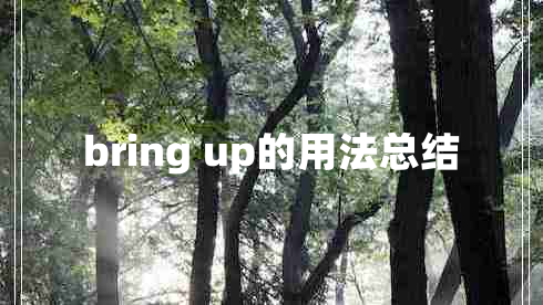 bring up的用法总结