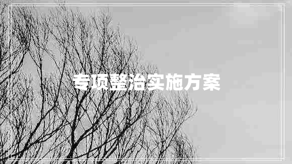 专项整治实施方案