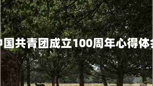 中国共青团成立100周年心得体会