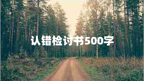 认错检讨书500字