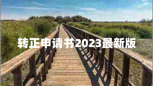 转正申请书2023最新版