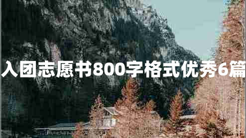 入团志愿书800字格式优秀6篇