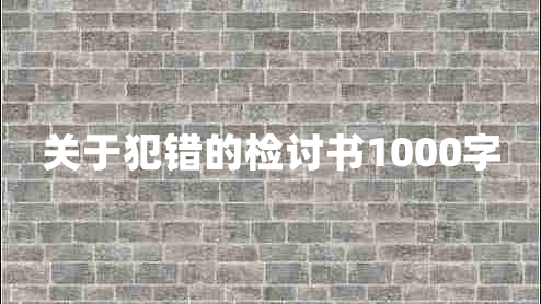 关于犯错的检讨书1000字