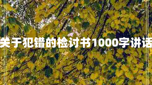 关于犯错的检讨书1000字讲话