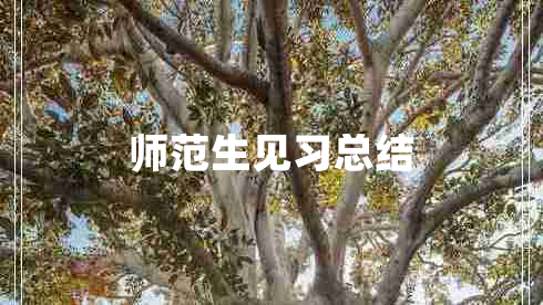 师范生见习总结