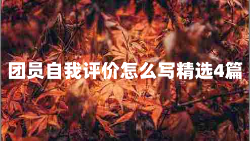 团员自我评价怎么写精选4篇