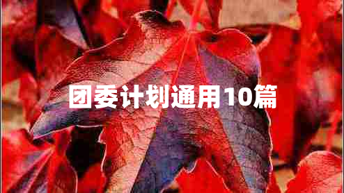 团委计划通用10篇