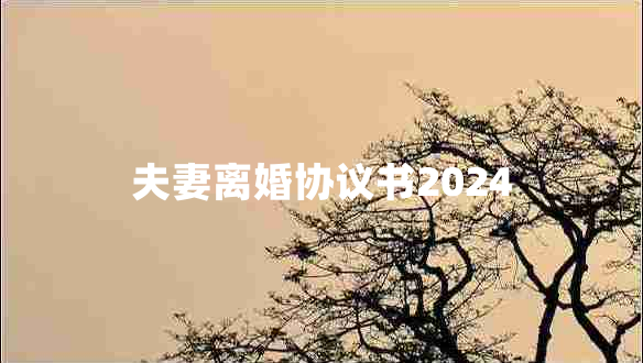 夫妻离婚协议书2024