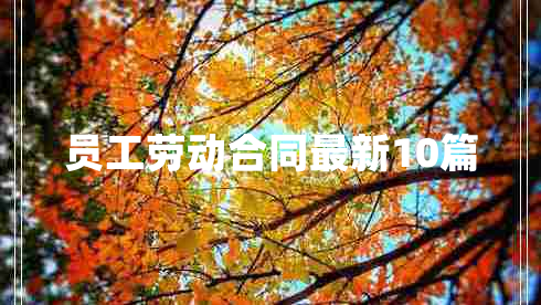 员工劳动合同最新10篇