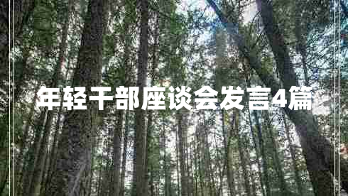 年轻干部座谈会发言4篇