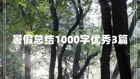 暑假总结1000字优秀3篇