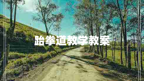 跆拳道教学教案