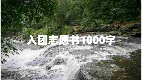 入团志愿书1000字