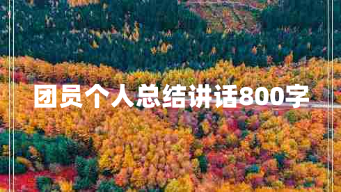 团员个人总结讲话800字