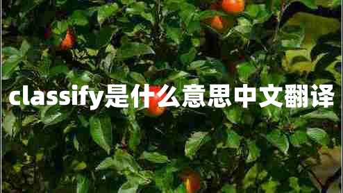 classify是什么意思中文翻译