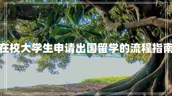 在校大学生申请出国留学的流程指南