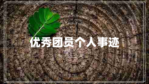 优秀团员个人事迹