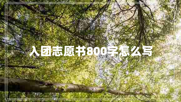 入团志愿书800字怎么写