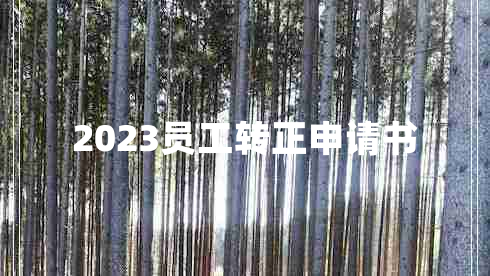 2023员工转正申请书